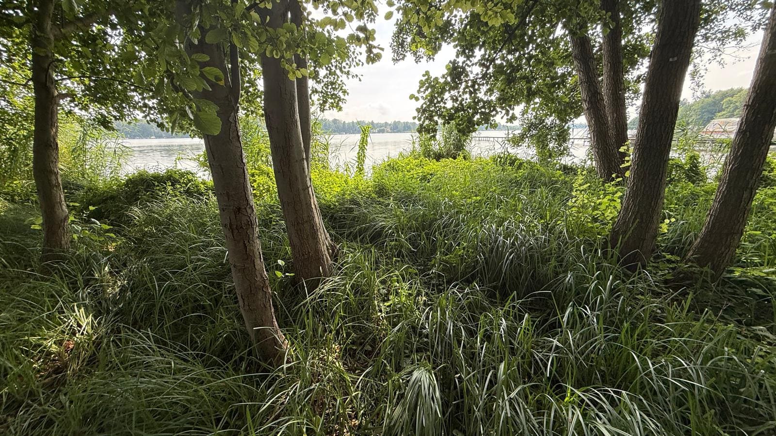 Naturverbundenes Wohnen in Kablow – Wohnprojekt nahe Berlin