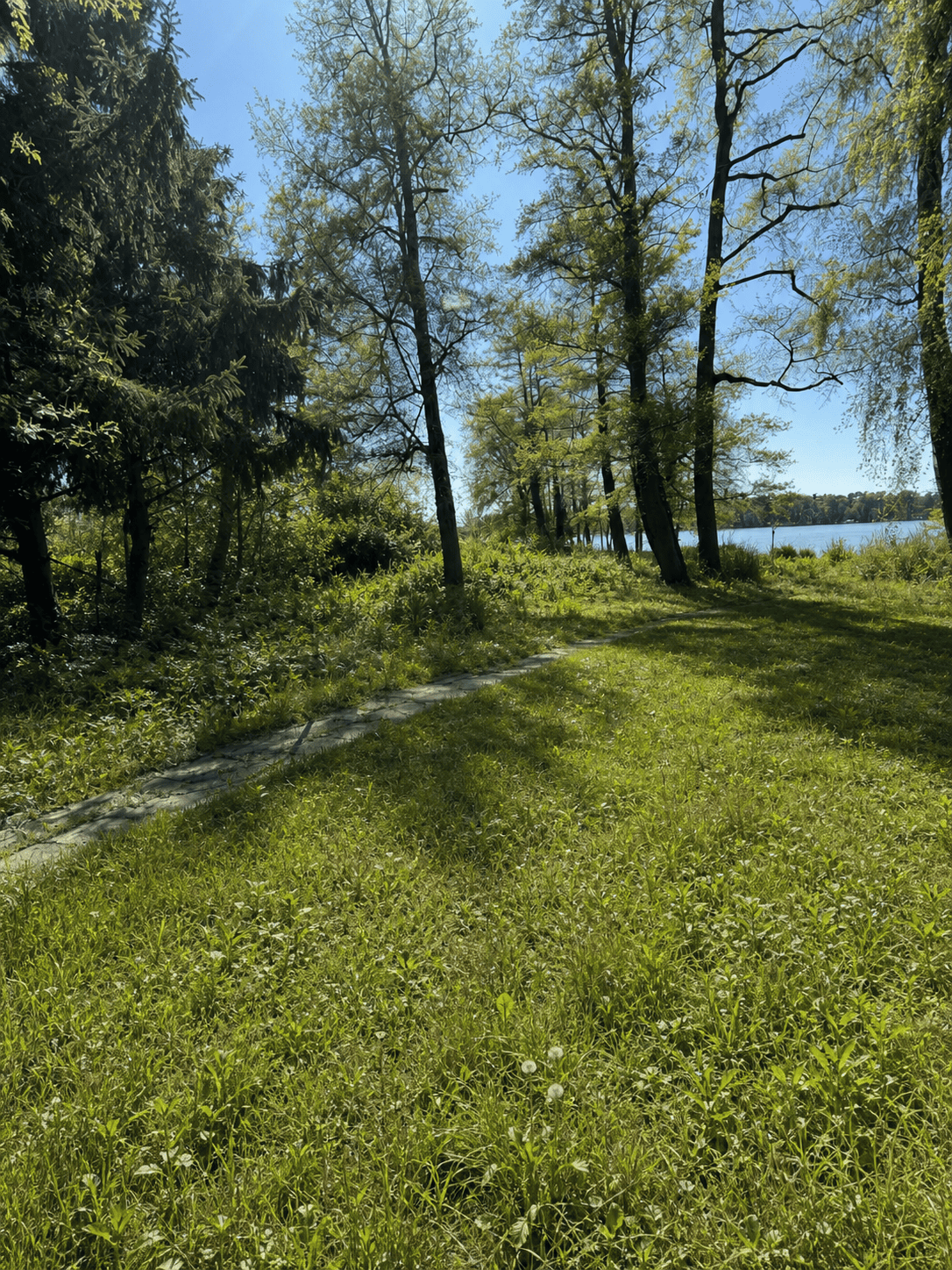 Naturlage Kablow nahe Berlin – Wohnprojekt Fontanestraße