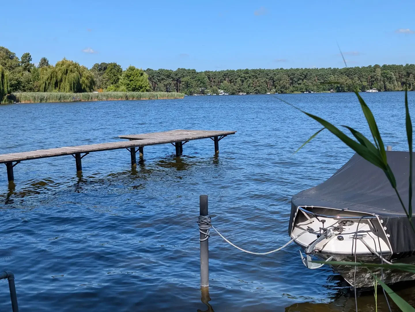 Wasserblick mit Holzsteg und festgemachtem Boot auf der Schweriner Horst