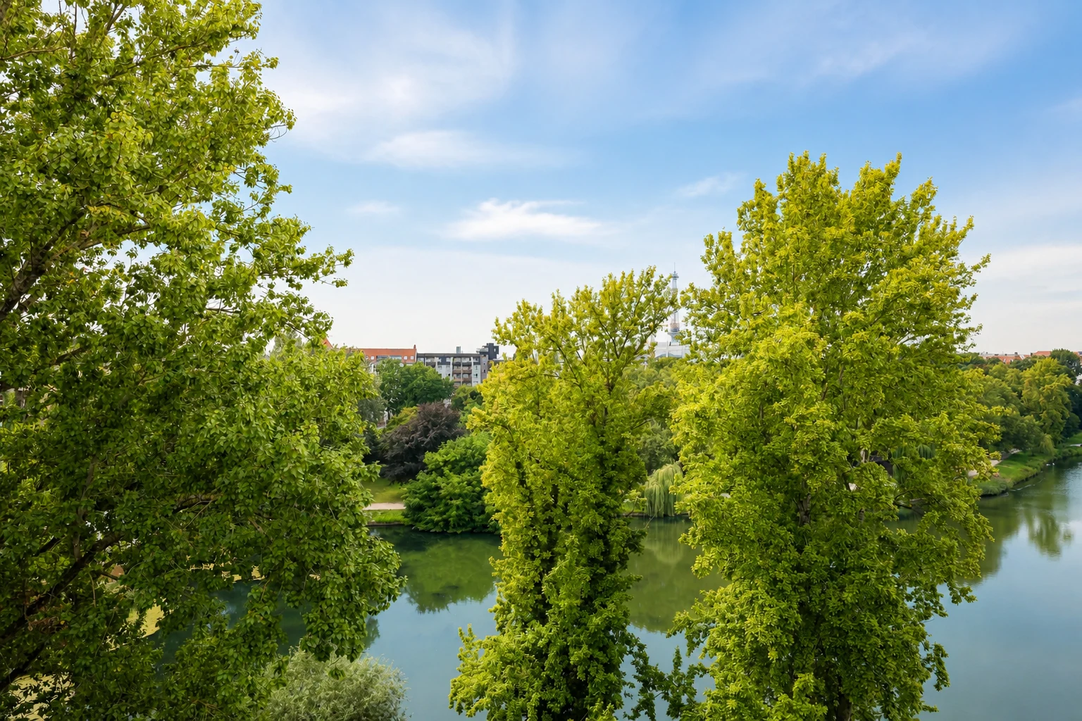 Blick durch grüne Baumkronen auf den Lietzensee und Gebäude im Hintergrund